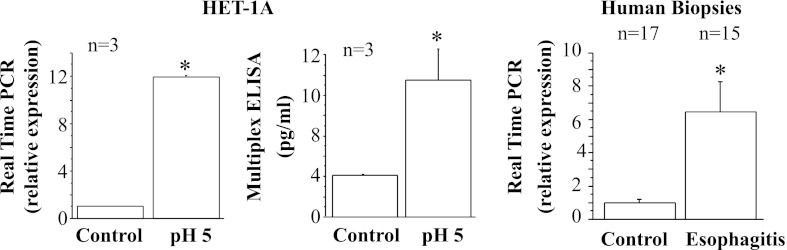 Fig. 8.