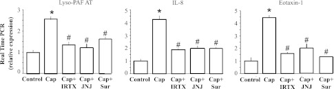 Fig. 12.