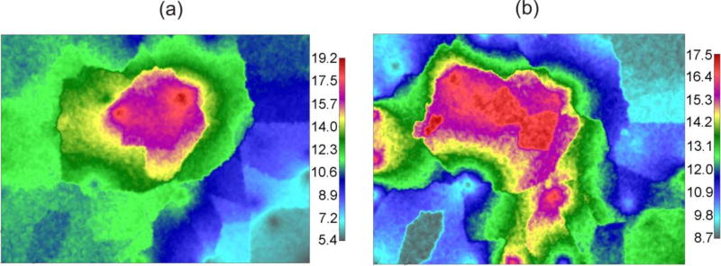 Fig. 13