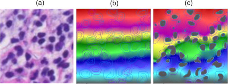 Fig. 11