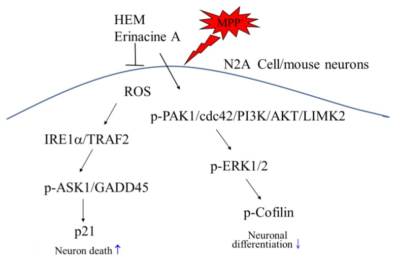 Figure 9