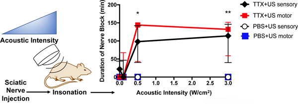 graphic file with name nihms-1585978-f0006.jpg