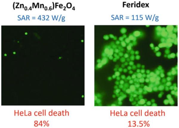 Fig. 12