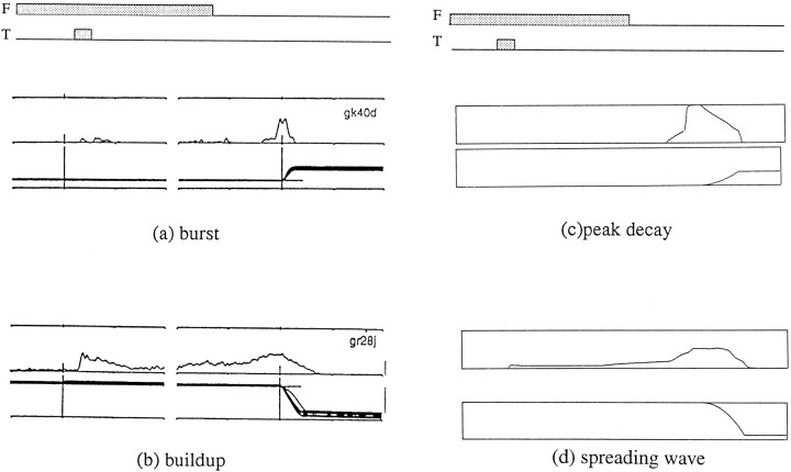 Fig. 12.