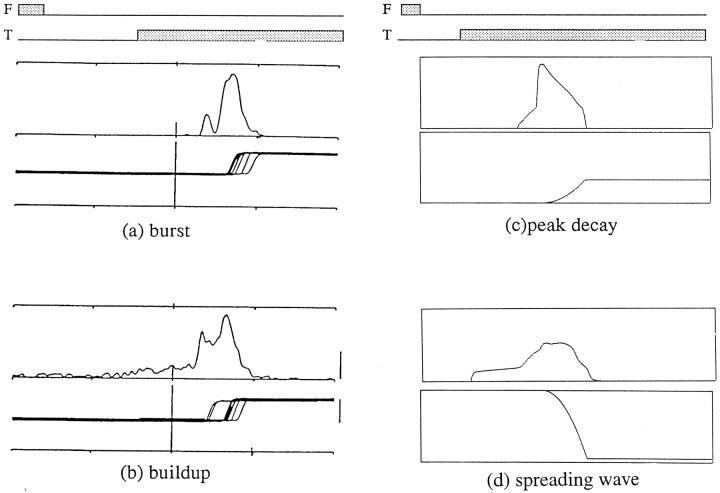 Fig. 13.