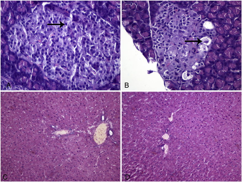 Fig. 6