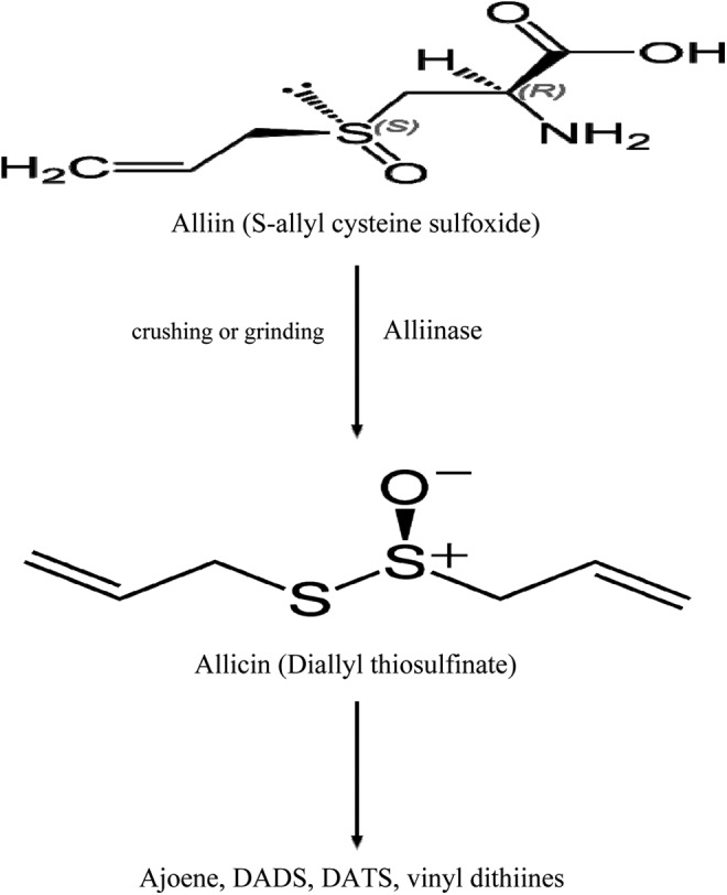 Figure 3.