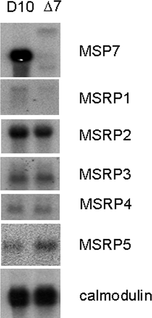 FIG. 5.