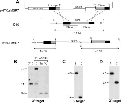 FIG. 1.