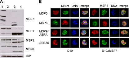 FIG. 4.