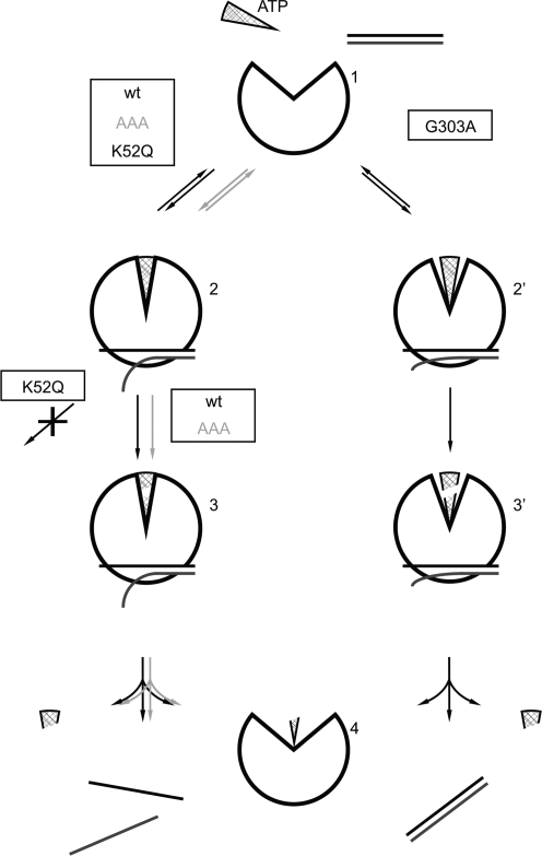 Figure 4.