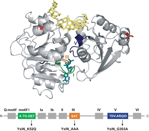 Figure 1.