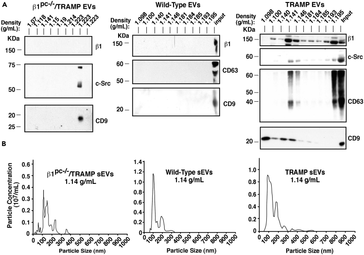 Figure 5