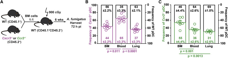 Figure 5