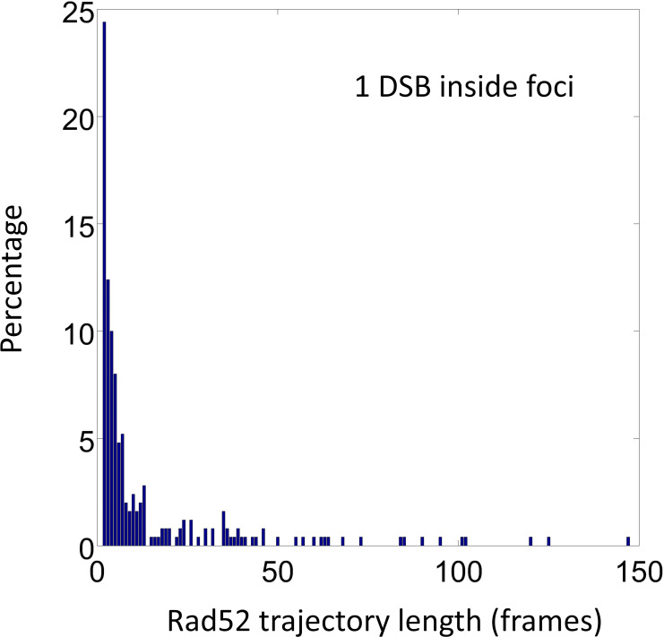 Figure 5—figure supplement 1.