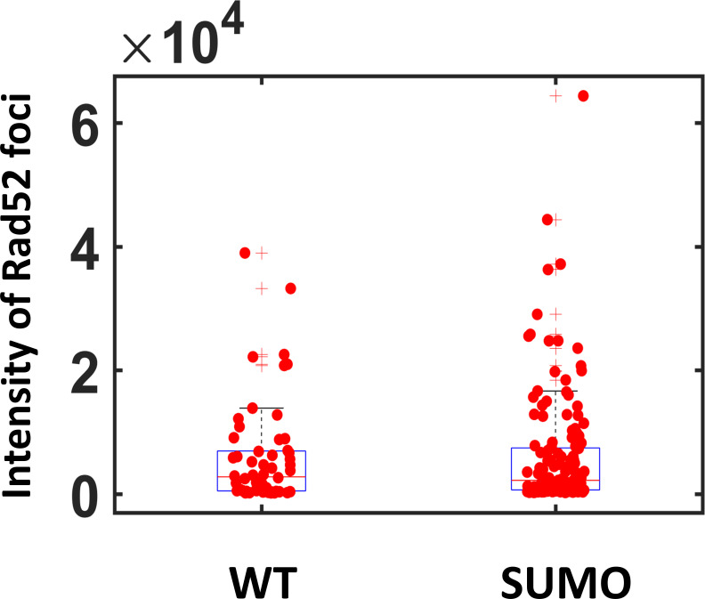 Figure 2—figure supplement 4.