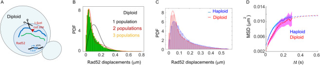 Figure 2—figure supplement 5.