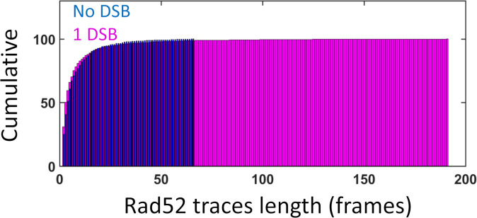 Figure 2—figure supplement 1.