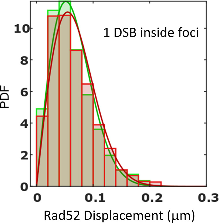 Figure 2—figure supplement 2.