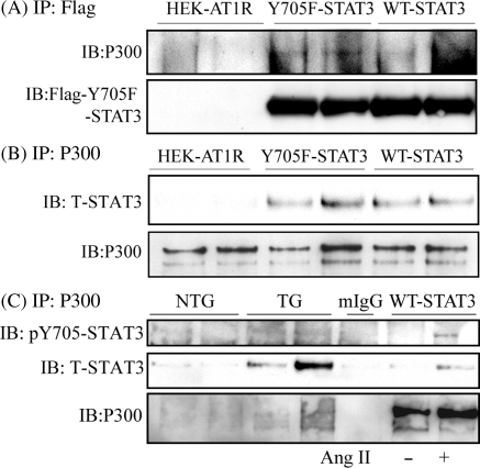 Figure 6