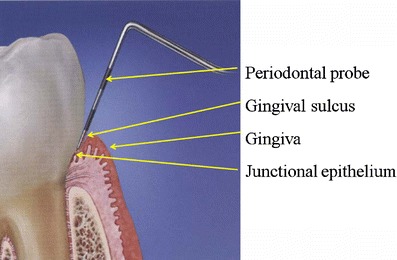 Fig. 4