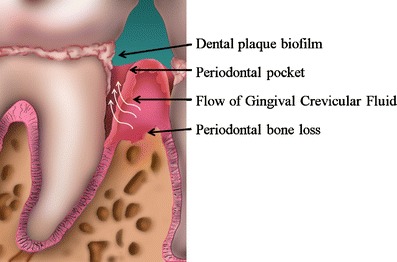 Fig. 9