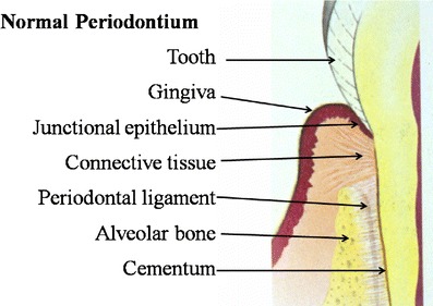 Fig. 2