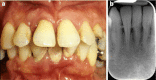 Fig. 6