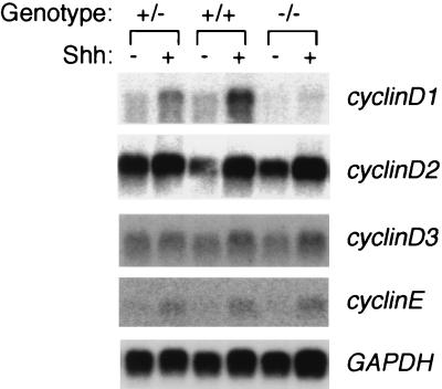 FIG. 8