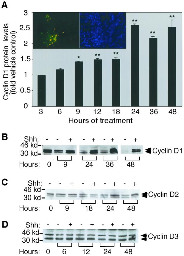 FIG. 3