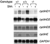 FIG. 8