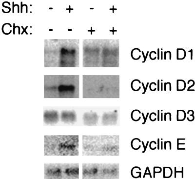 FIG. 6