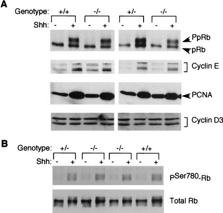 FIG. 7