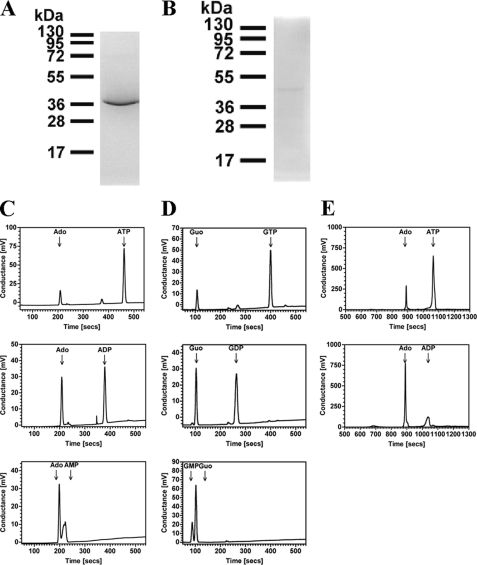 FIGURE 7.