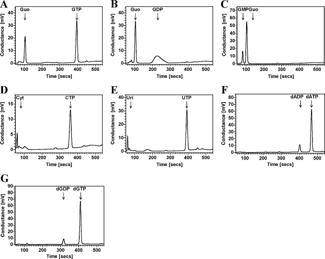 FIGURE 4.