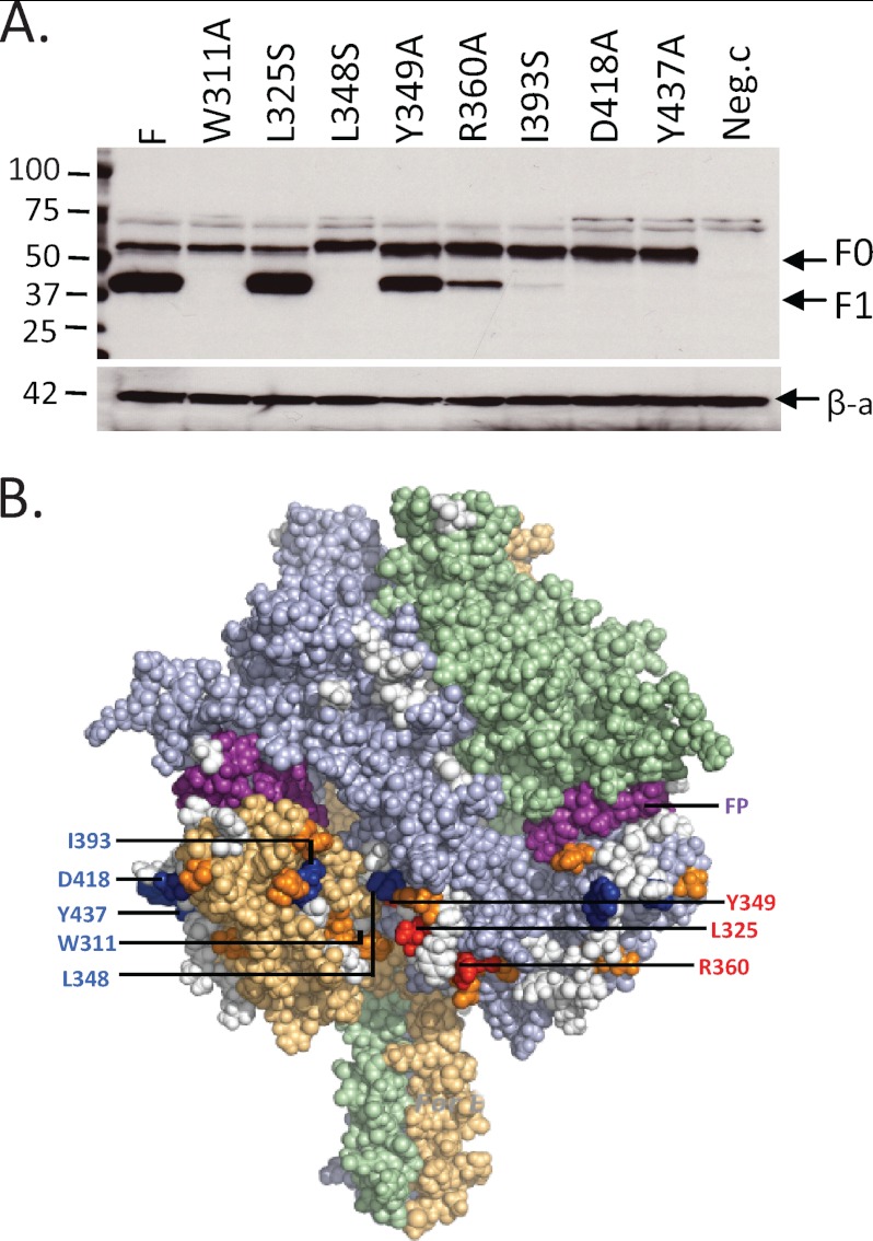 FIGURE 3.