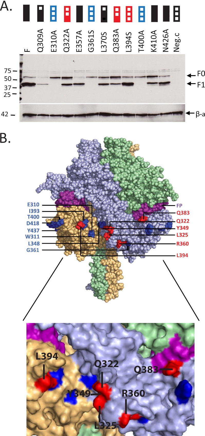 FIGURE 4.