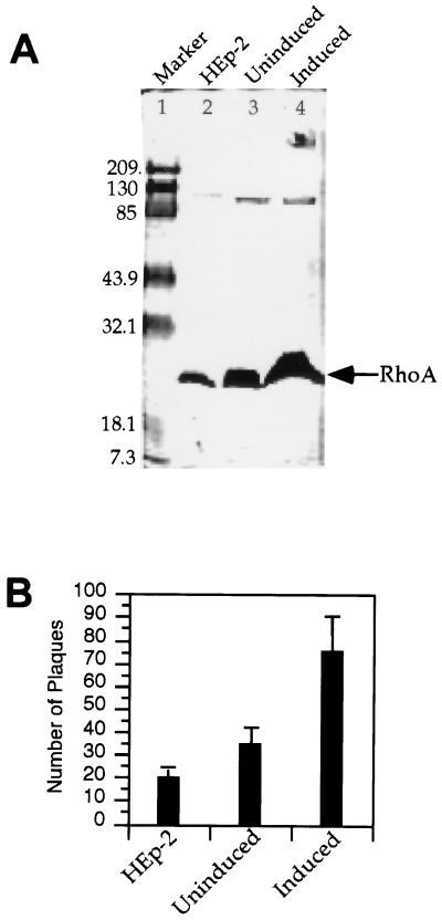FIG. 8