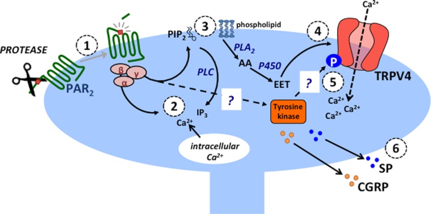 FIGURE 9.