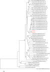 FIG 1