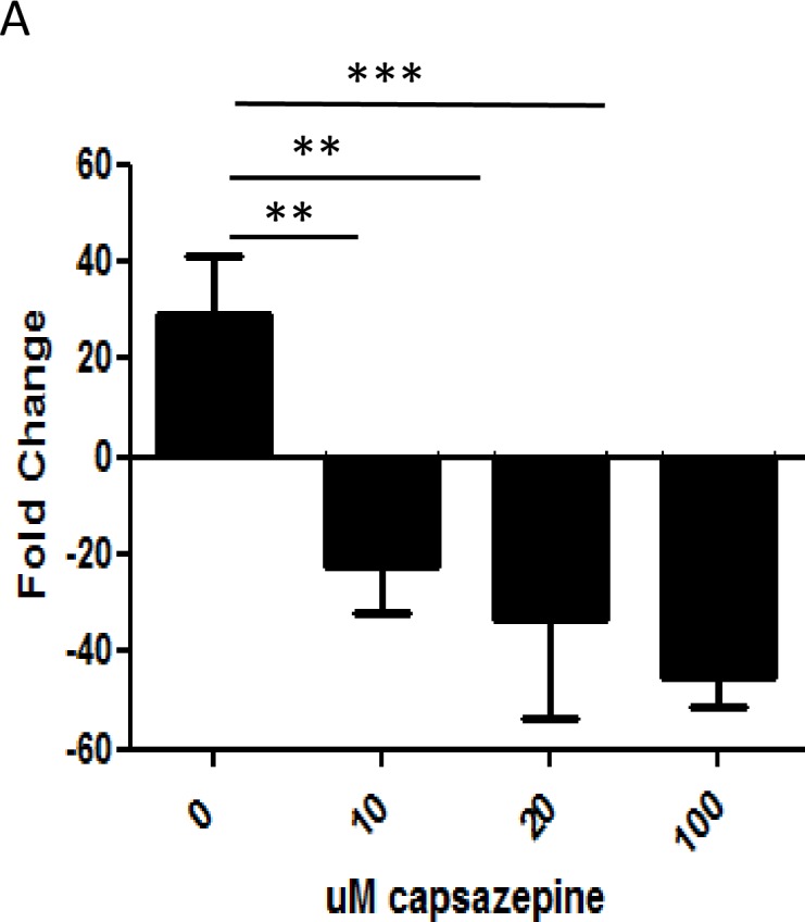 Fig 11