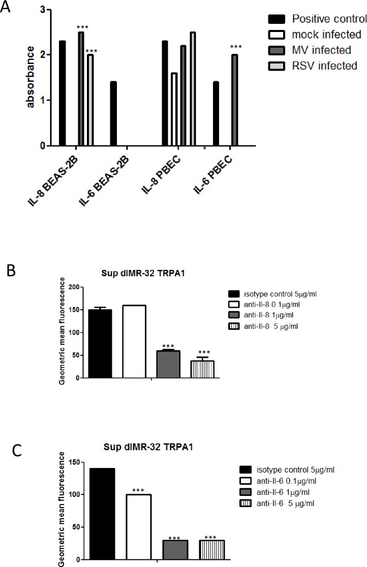 Fig 10