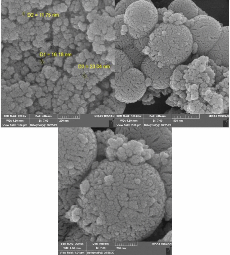 Figure 14