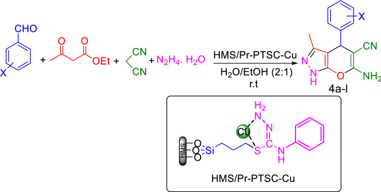 Figure 24