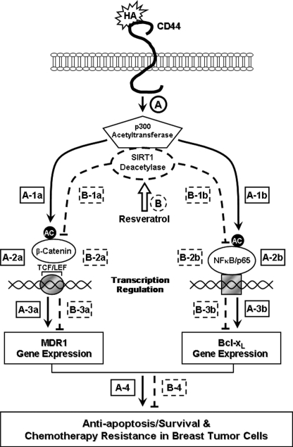 FIGURE 7.