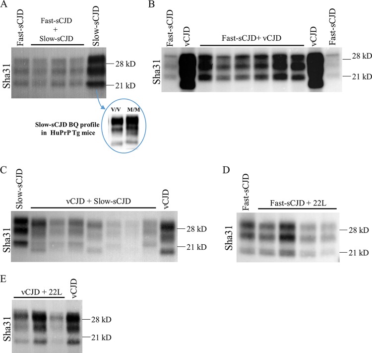 FIG 2