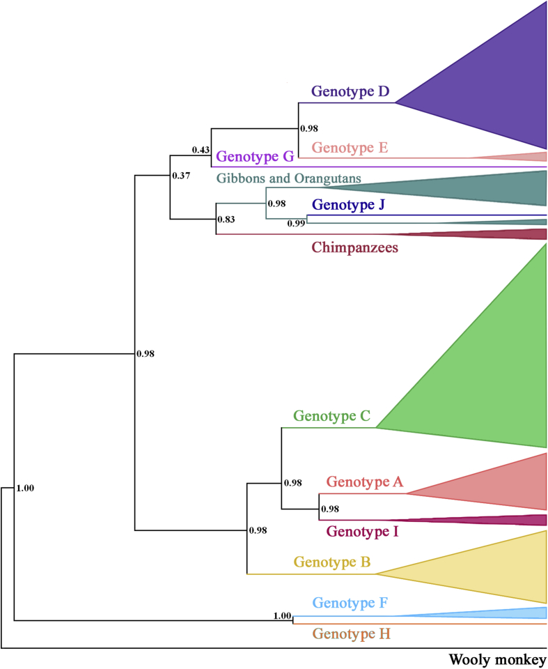 Fig. 1