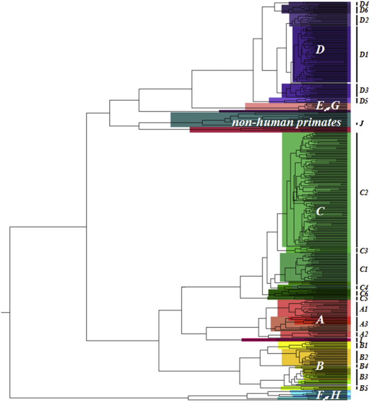 Fig. 11