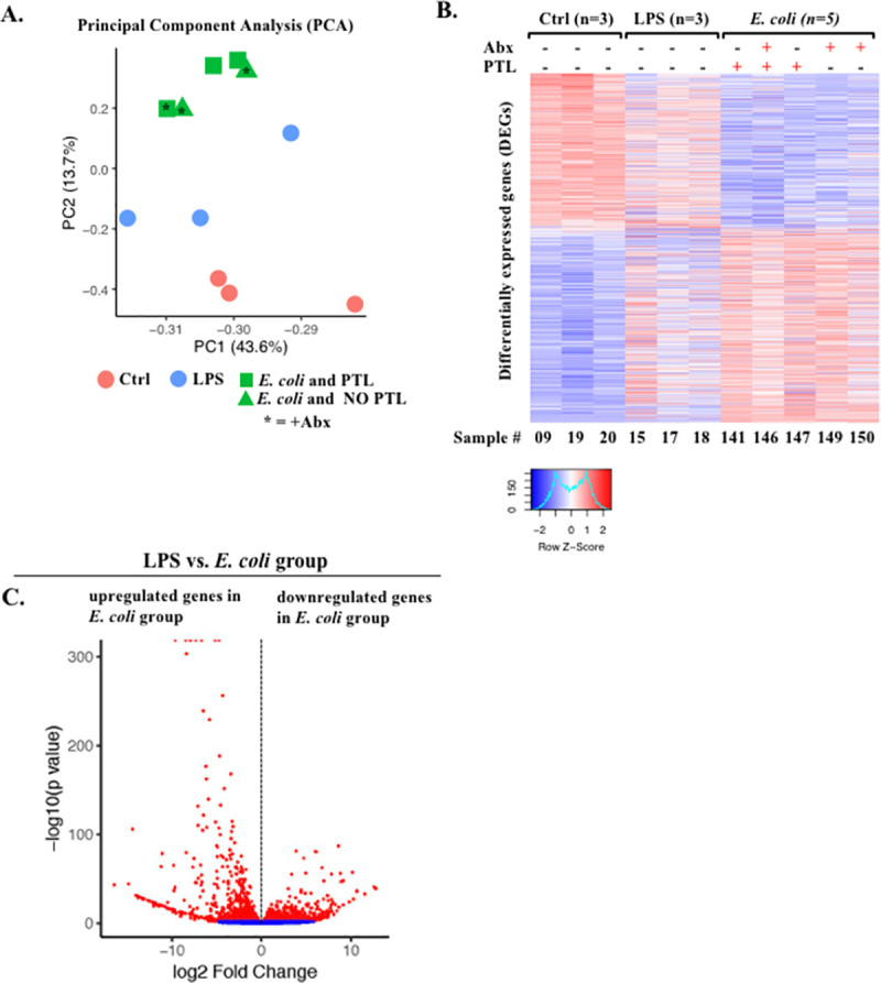 Fig 6