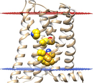 Figure 12